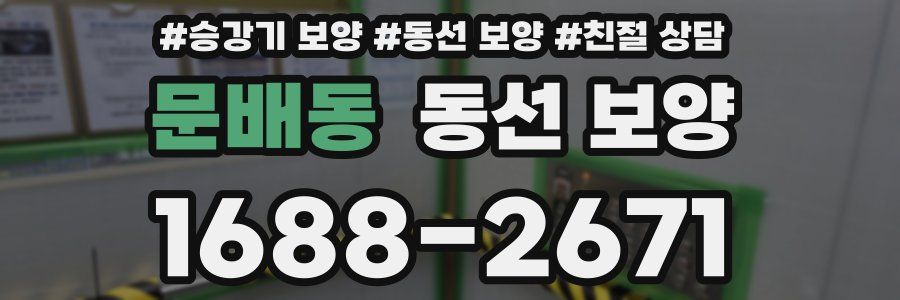 문배동 동선 보양