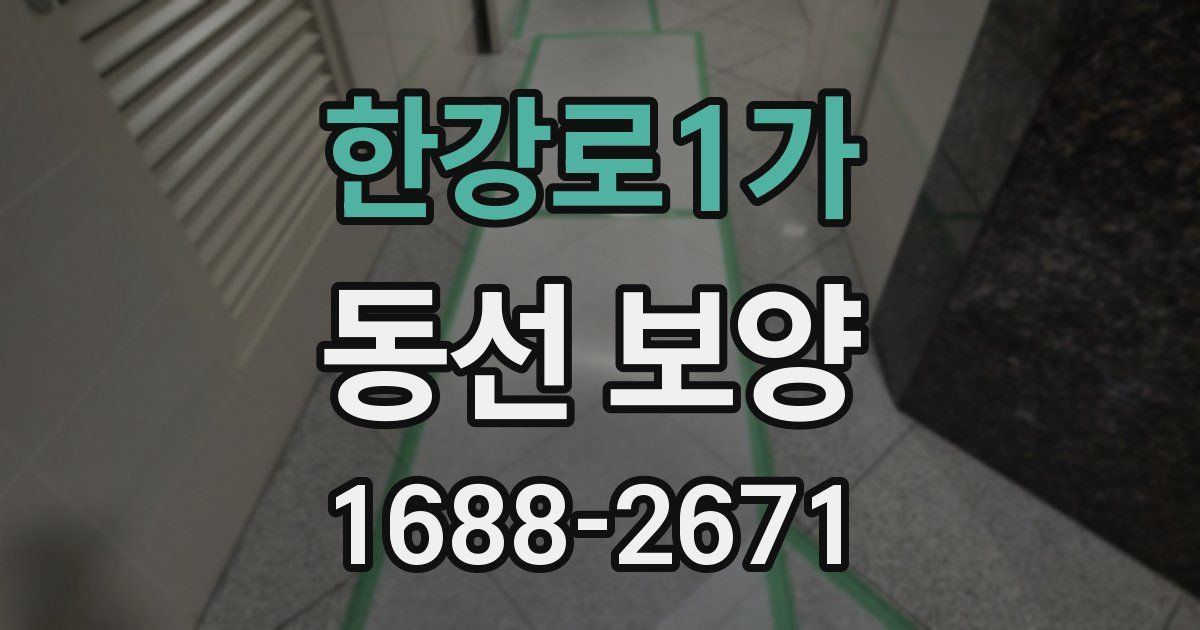 한강로1가 동선 보양