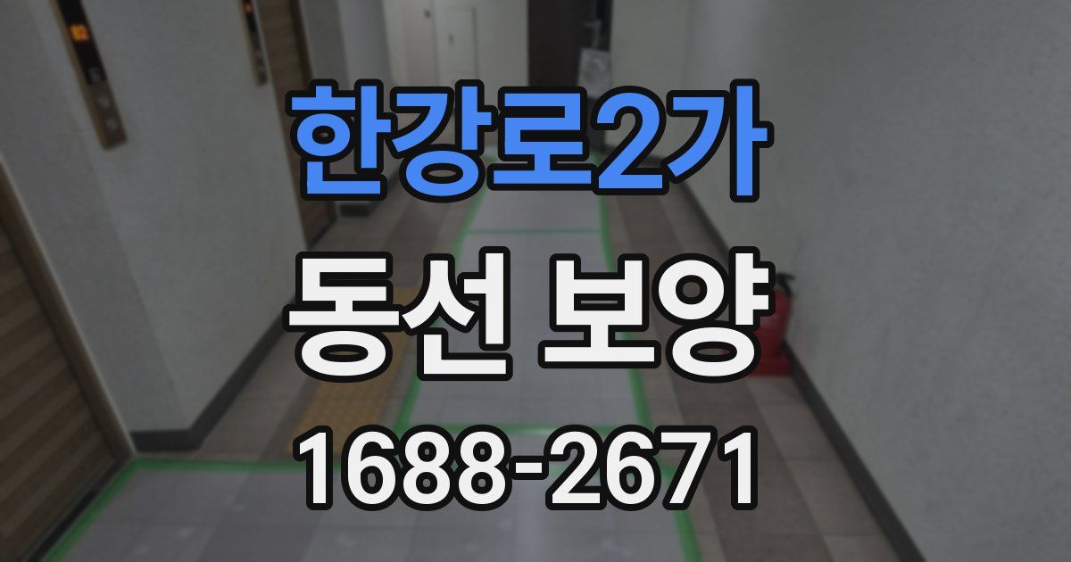 한강로2가 동선 보양