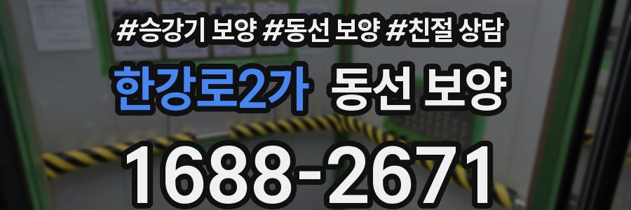 한강로2가 동선 보양