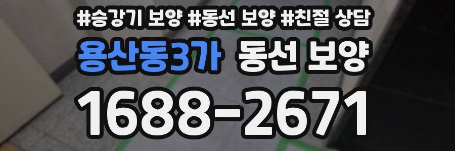 용산동3가 동선 보양
