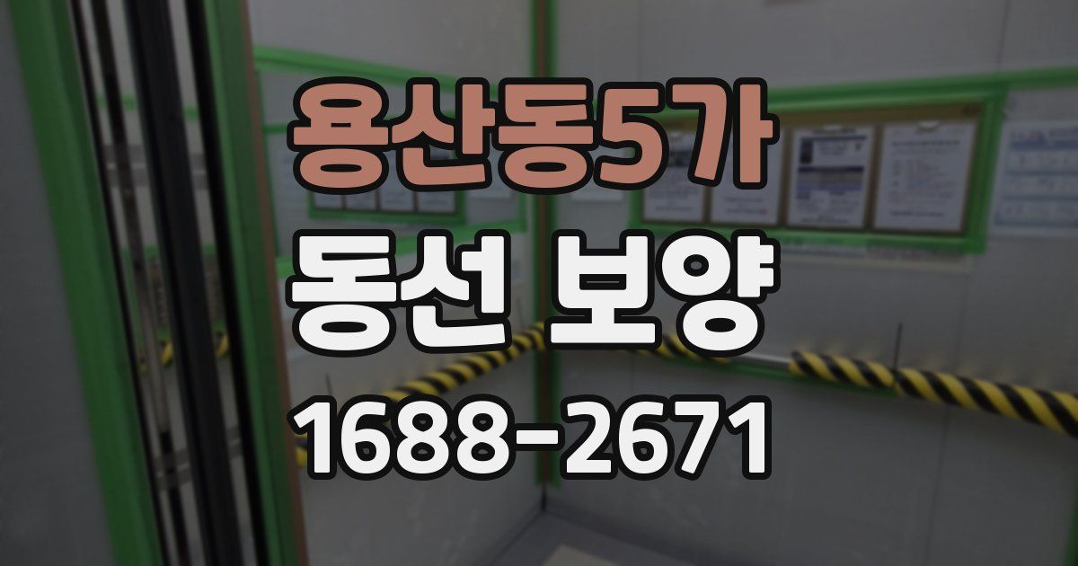 용산동5가 동선 보양
