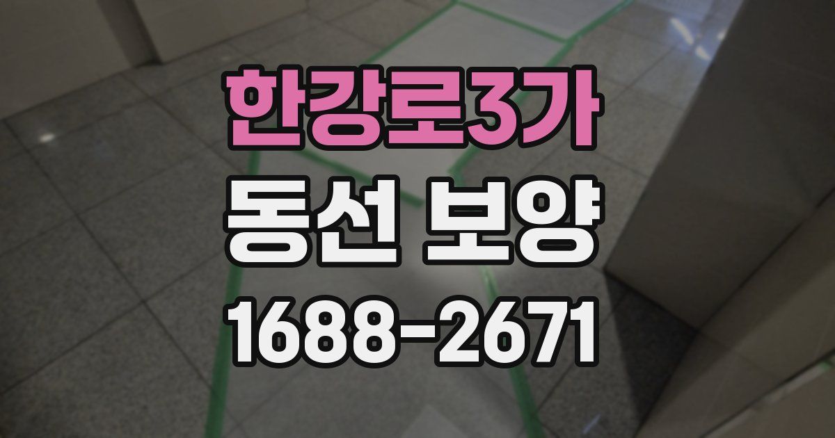 한강로3가 동선 보양