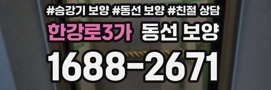 한강로3가 동선 보양