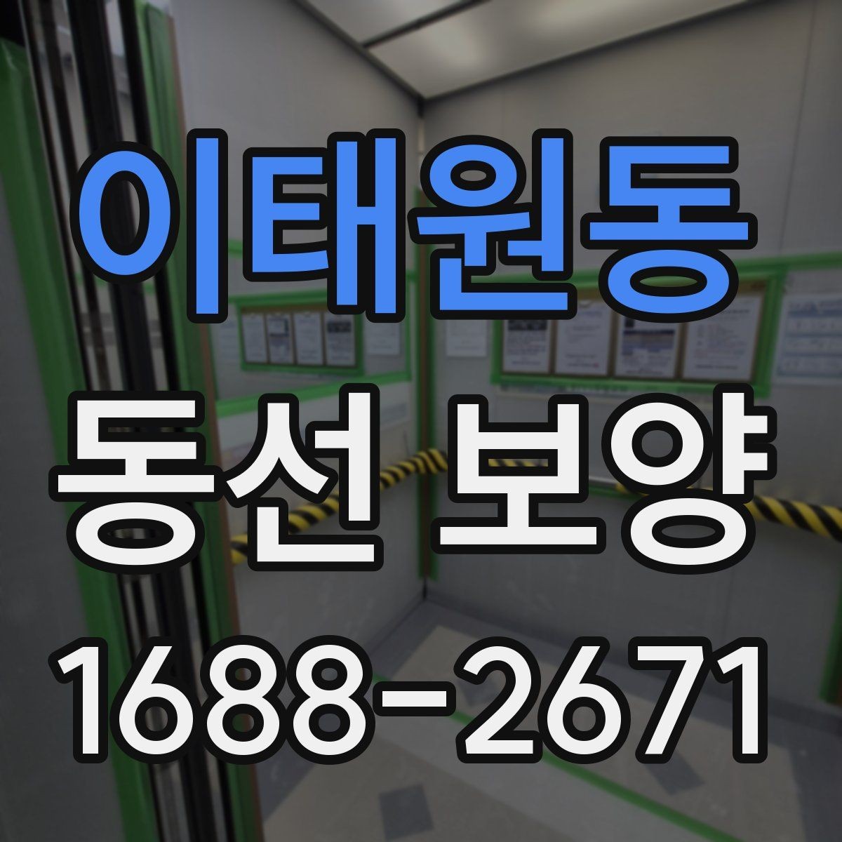이태원동 동선 보양 업체를 볼 때 확인할 기준