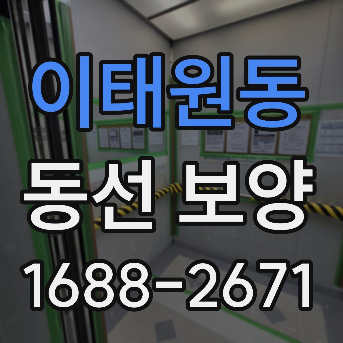 이태원동 동선 보양