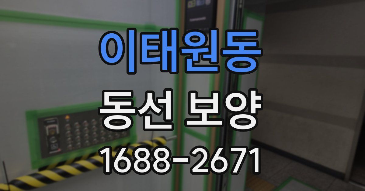 이태원동 동선 보양