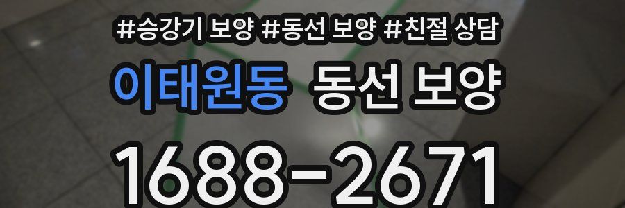이태원동 동선 보양