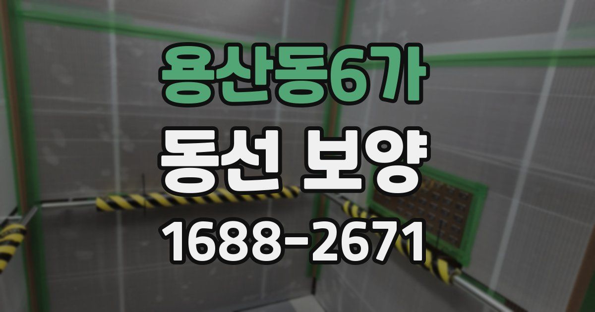 용산동6가 동선 보양