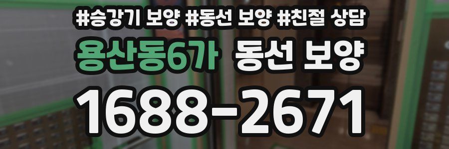 용산동6가 동선 보양