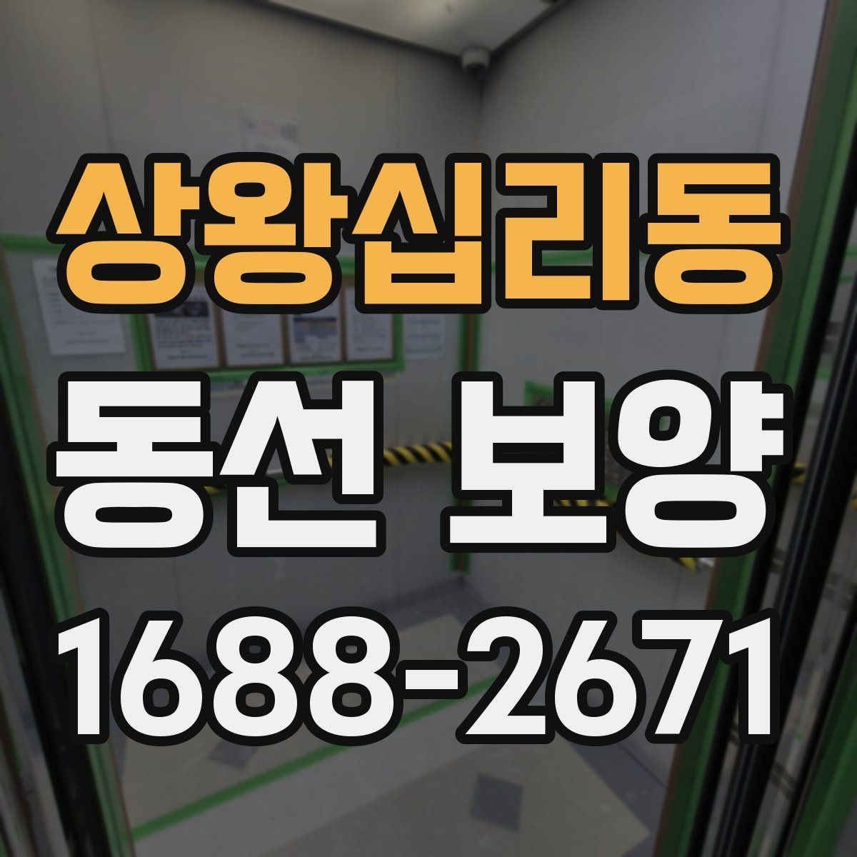 상왕십리동 동선 보양 비용이 달라지는 요소들