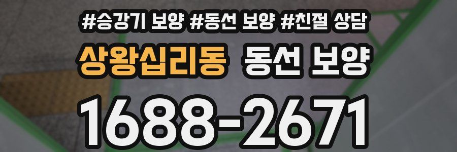 상왕십리동 동선 보양