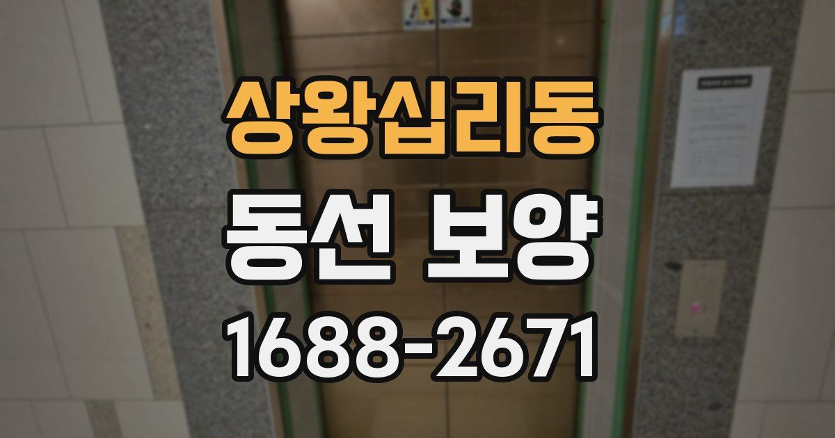 상왕십리동 동선 보양
