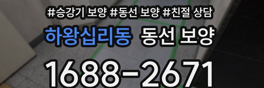 하왕십리동 동선 보양