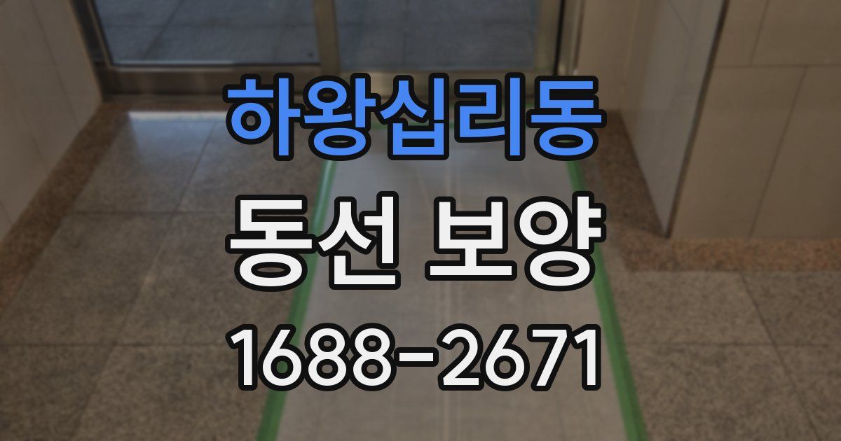 하왕십리동 동선 보양