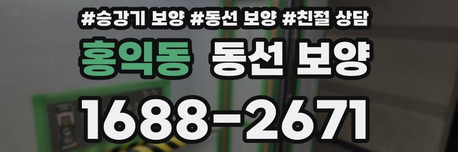 홍익동 동선 보양