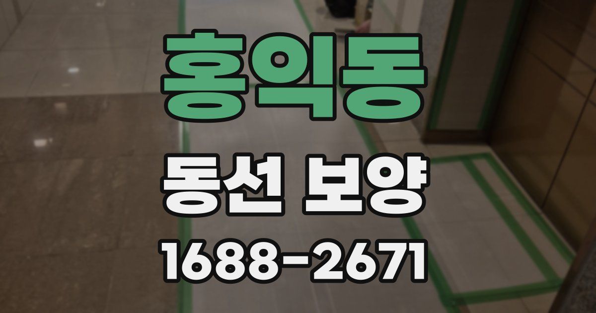 홍익동 동선 보양