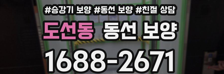 도선동 동선 보양