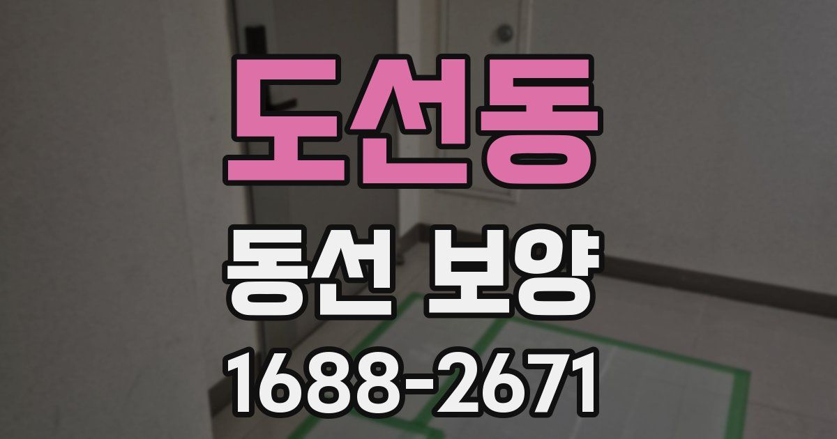 도선동 동선 보양