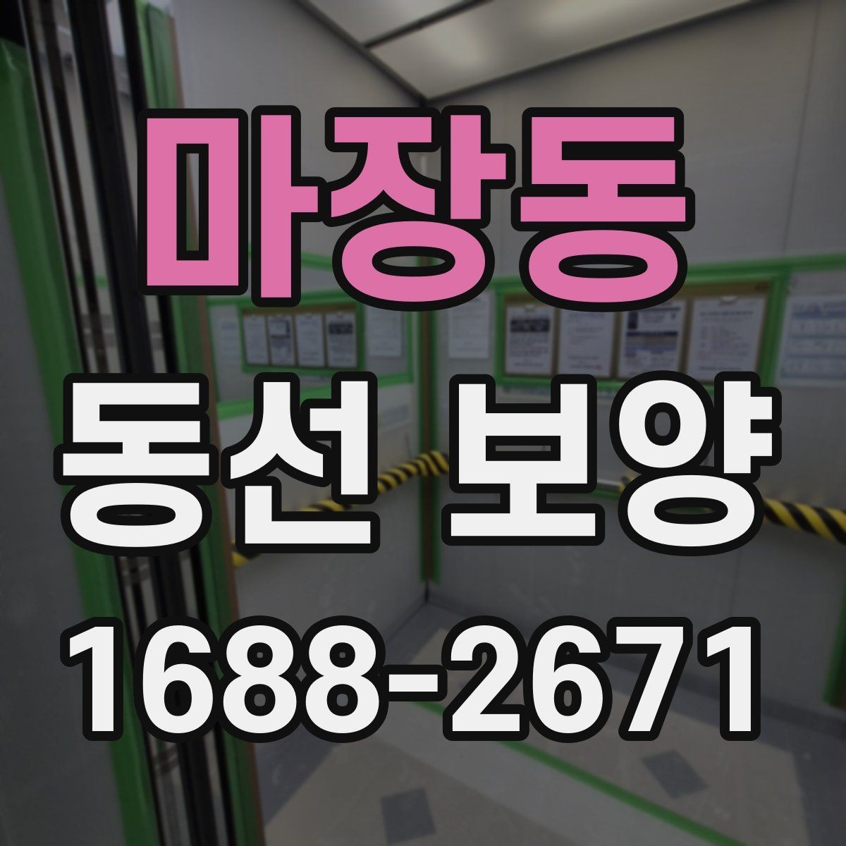 마장동 동선 보양 적용 범위를 정하는 실무 기준