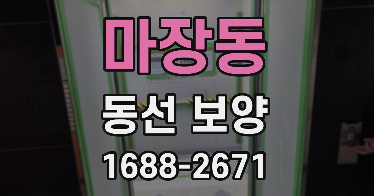 마장동 동선 보양