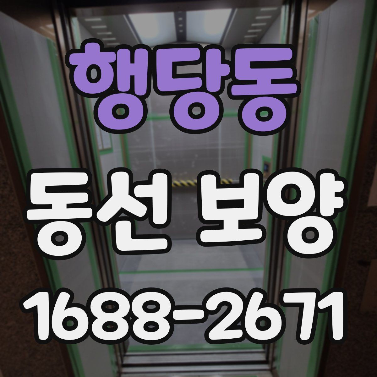 행당동 동선 보양 전후 차이를 알기 쉽게 정리