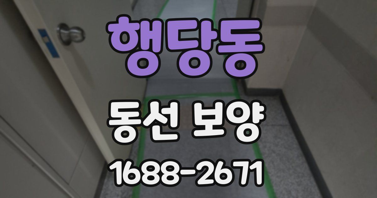 행당동 동선 보양