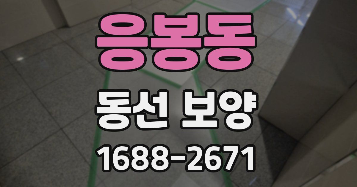 응봉동 동선 보양