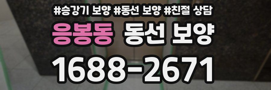 응봉동 동선 보양