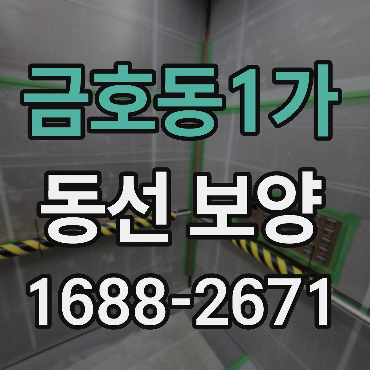 금호동1가 동선 보양 시 먼지와 오염을 줄이는 방법