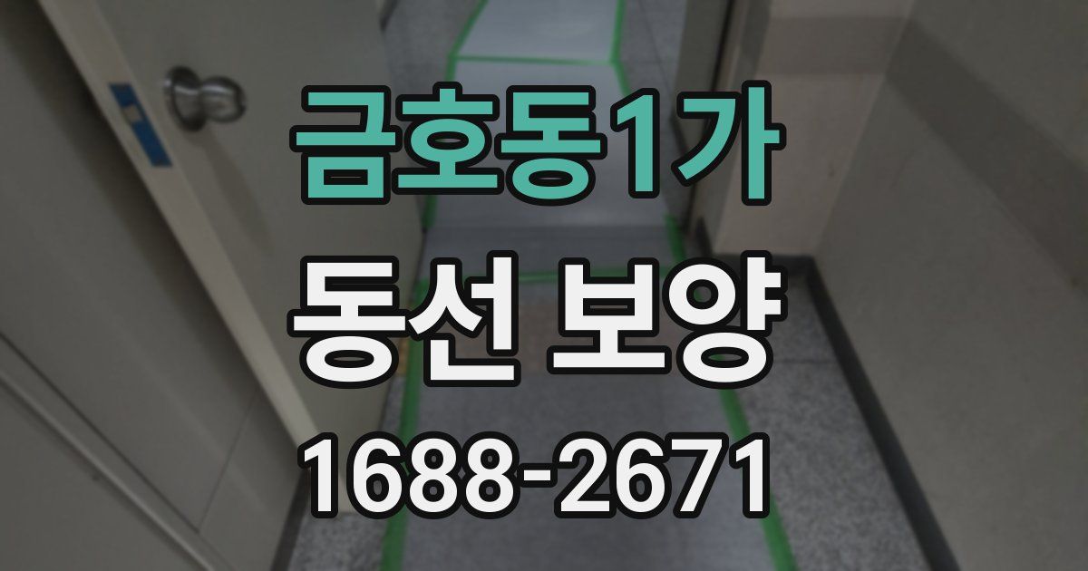 금호동1가 동선 보양