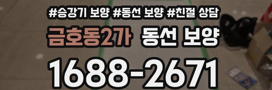 금호동2가 동선 보양