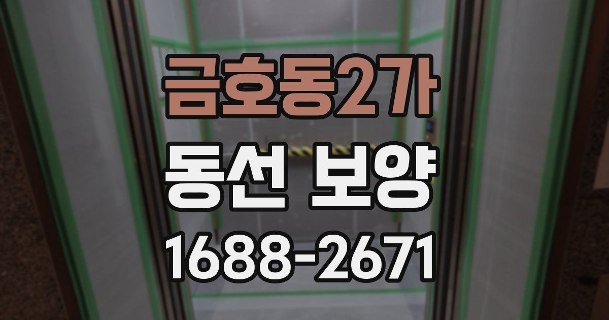 금호동2가 동선 보양