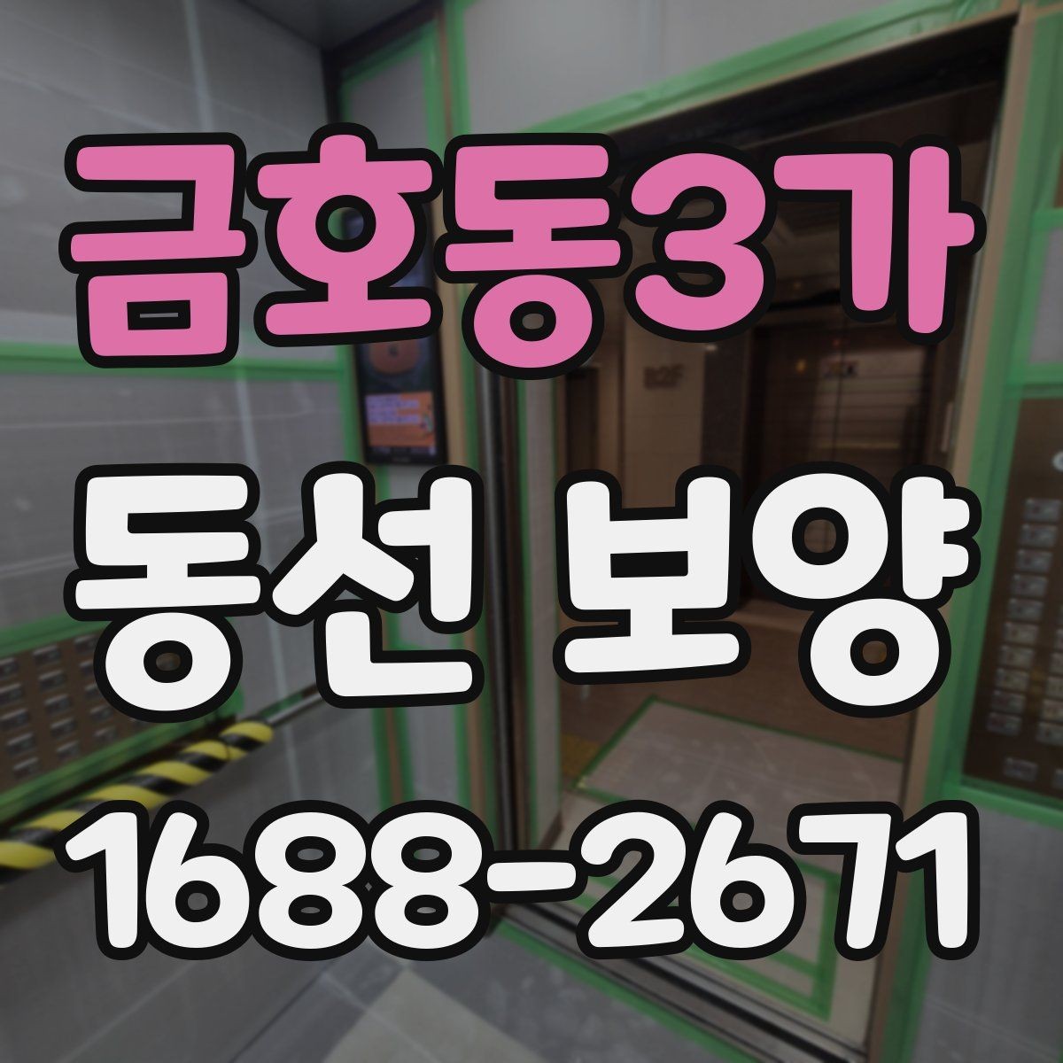 금호동3가 동선 보양 현장에서 많이 묻는 질문 정리