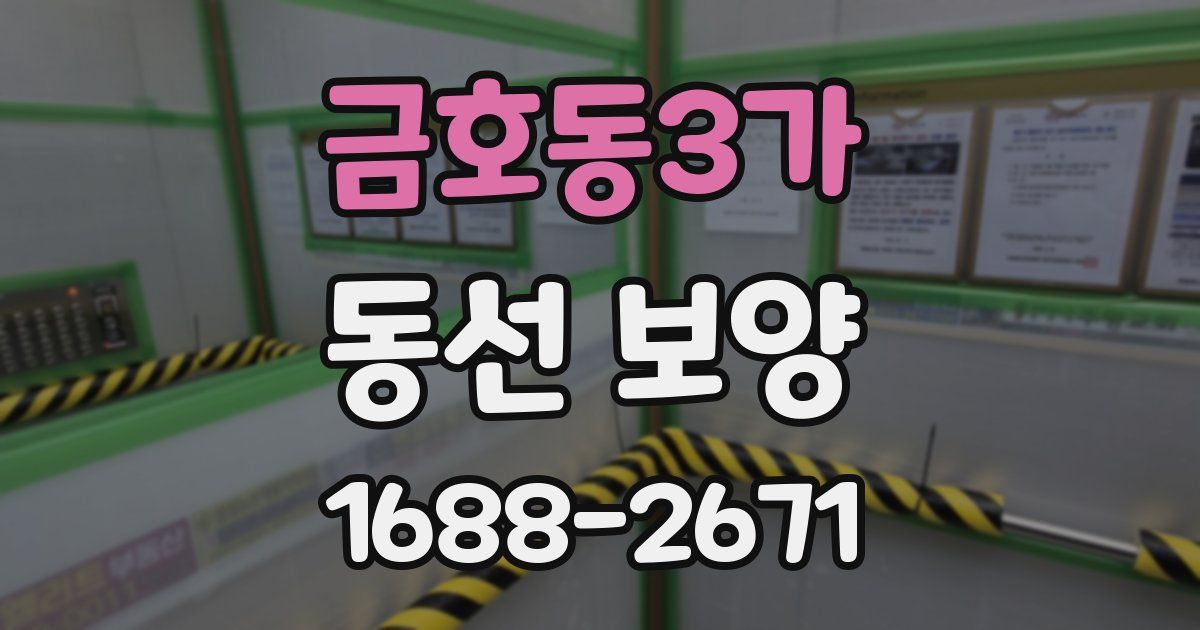 금호동3가 동선 보양