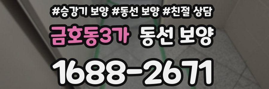 금호동3가 동선 보양