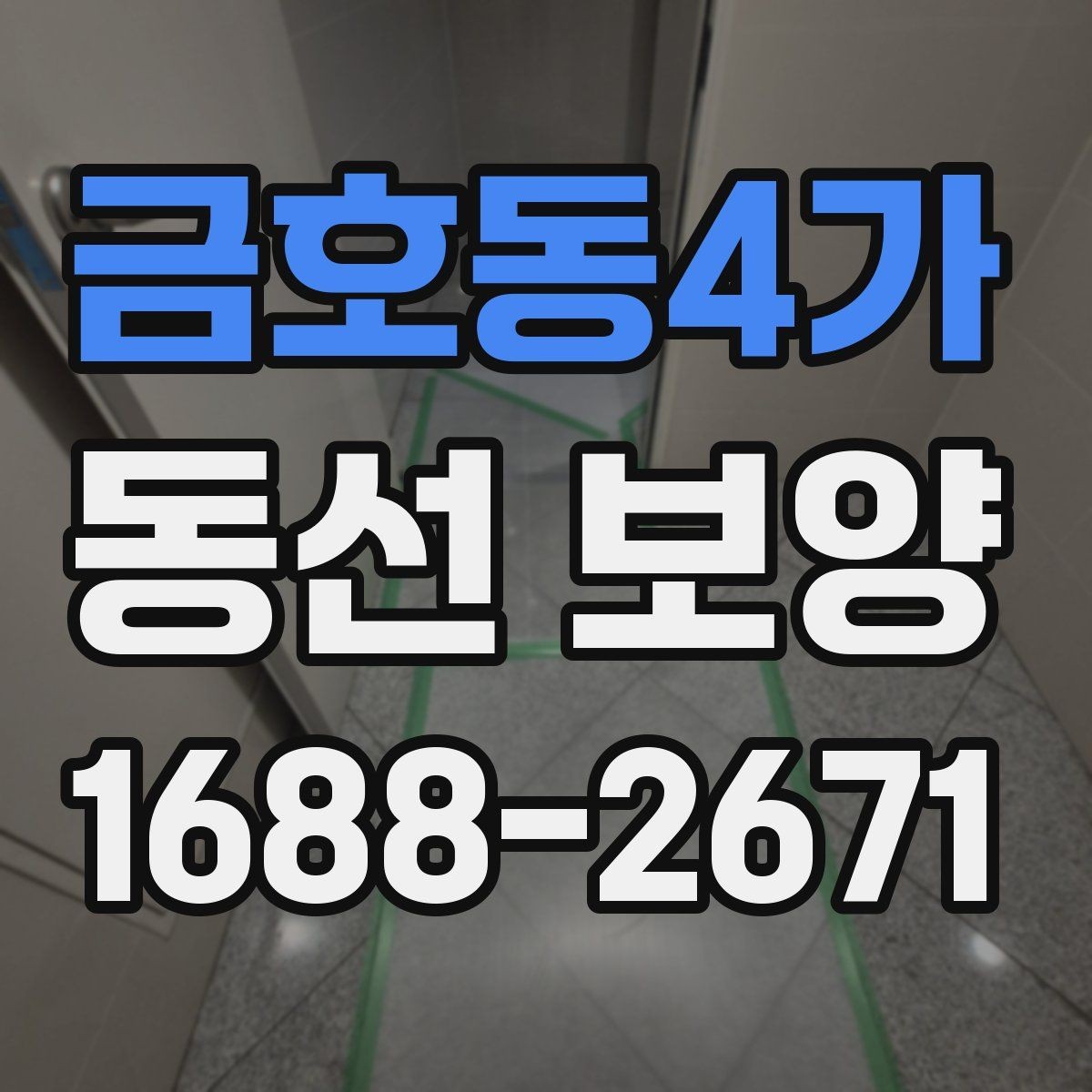 금호동4가 동선 보양 후 안전 관리까지 챙겨야 하는 이유