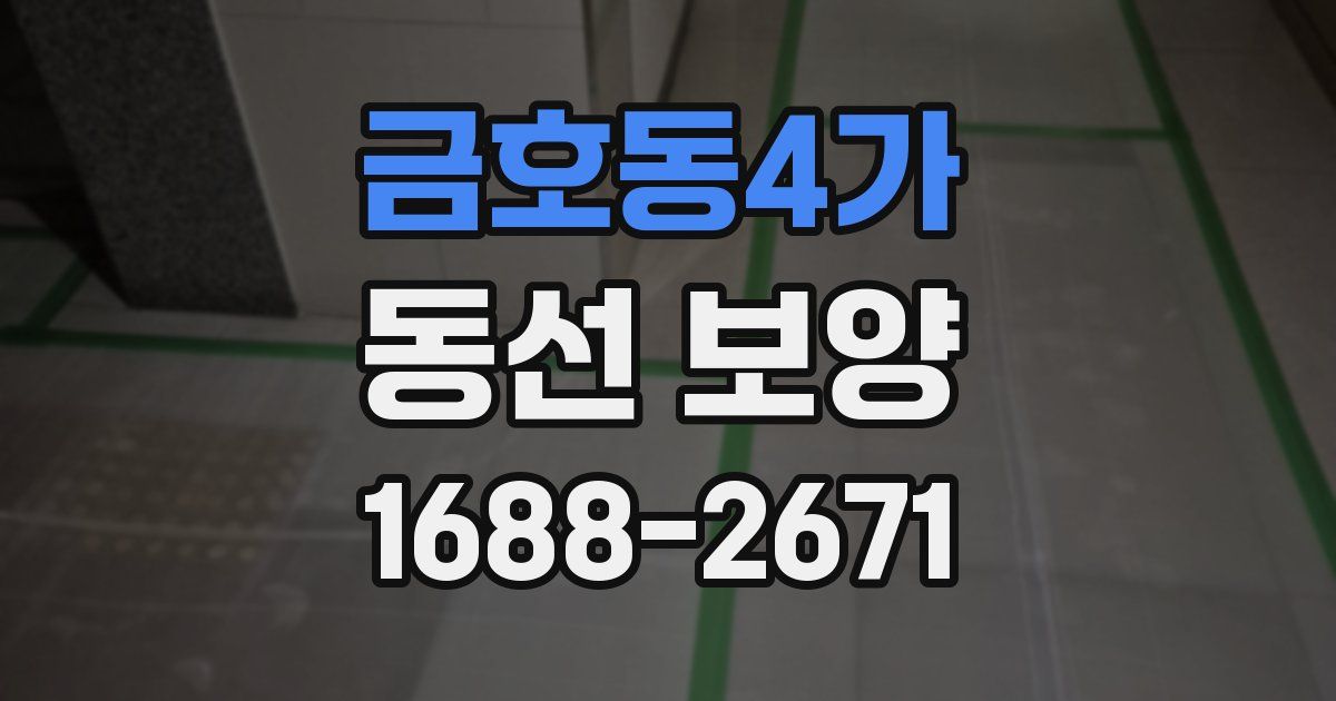 금호동4가 동선 보양