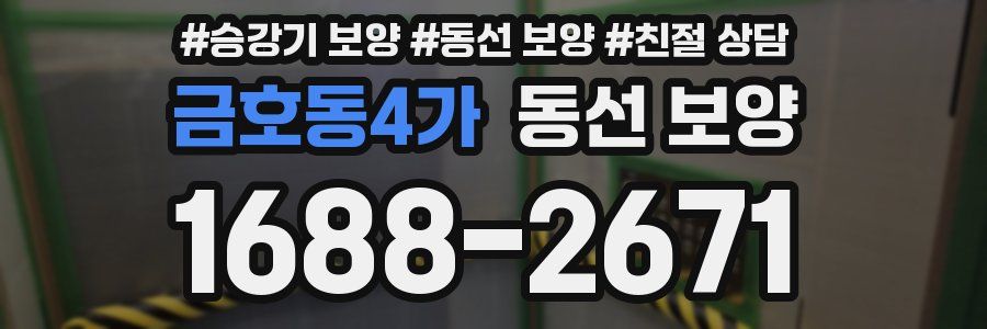 금호동4가 동선 보양