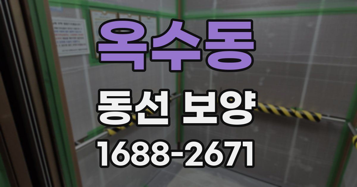 옥수동 동선 보양