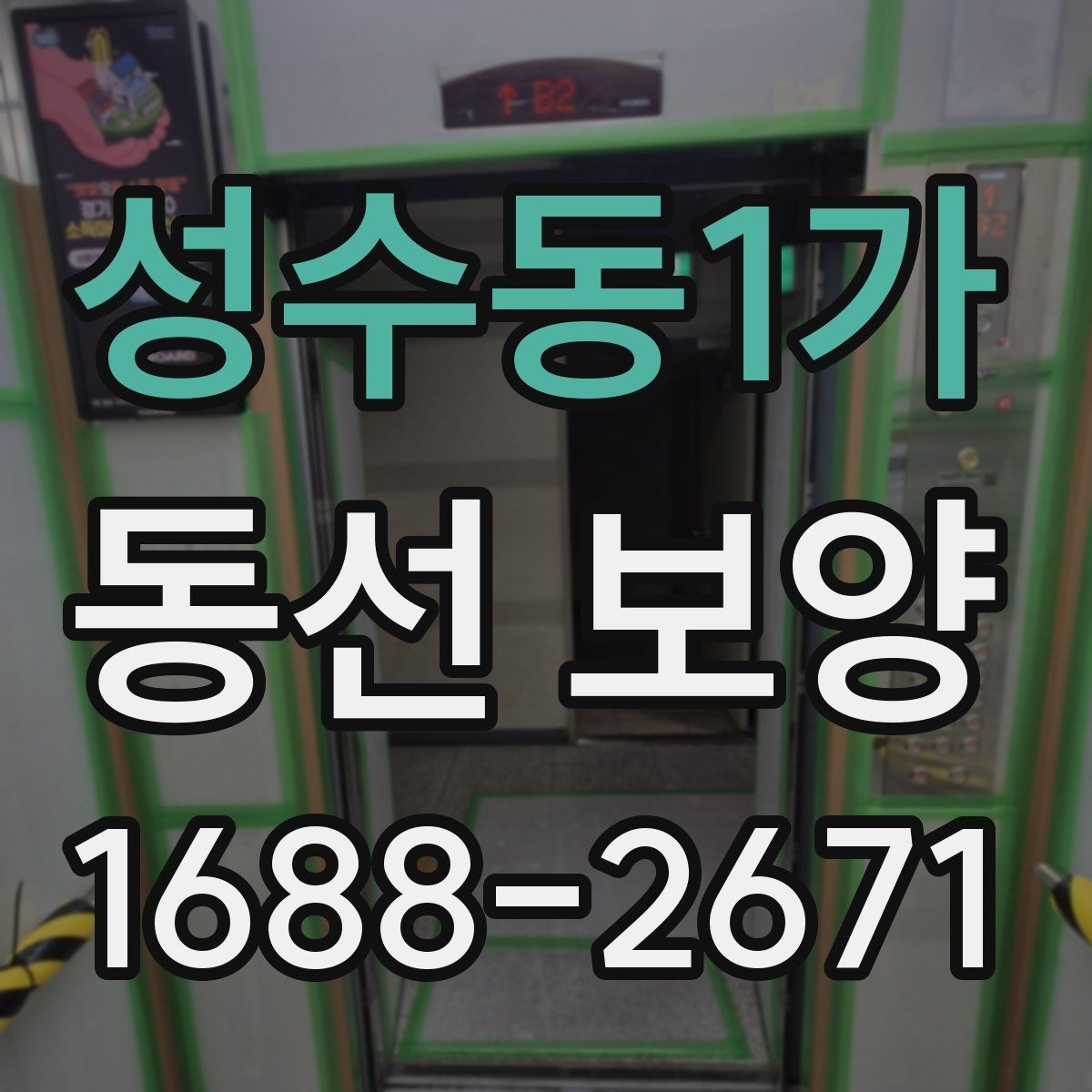 성수동1가 동선 보양 현장별 적용 사례와 특징