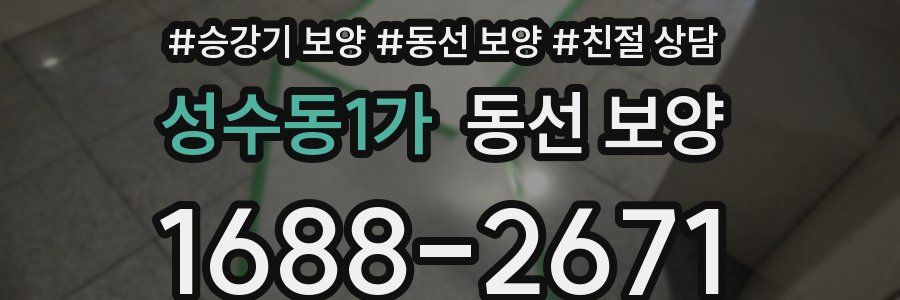 성수동1가 동선 보양