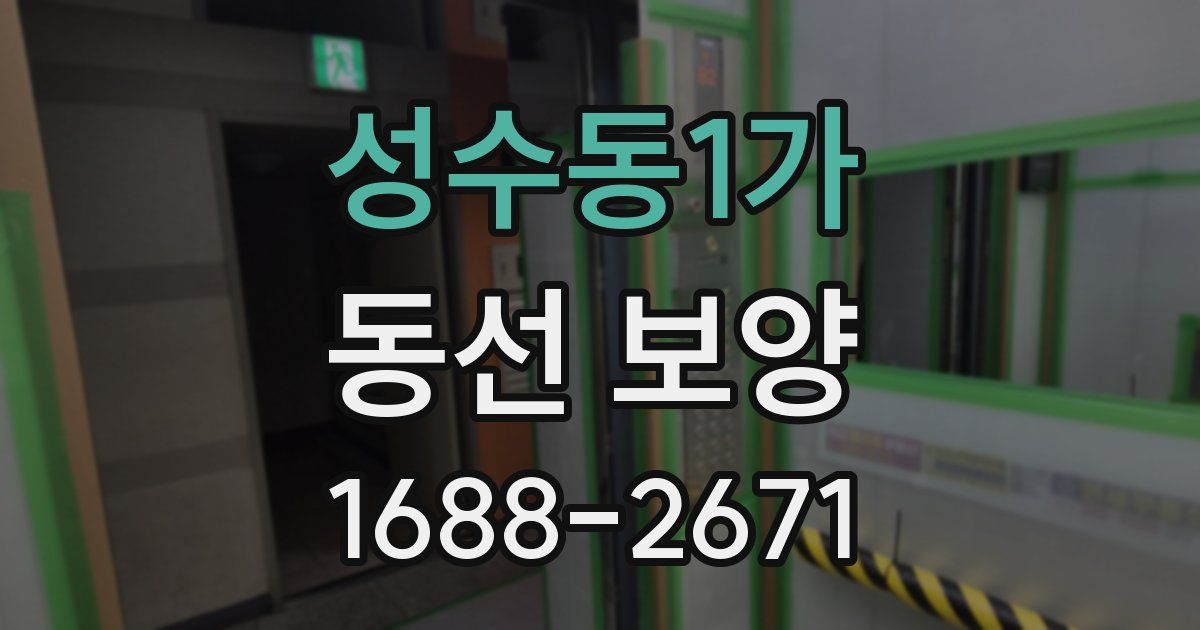 성수동1가 동선 보양