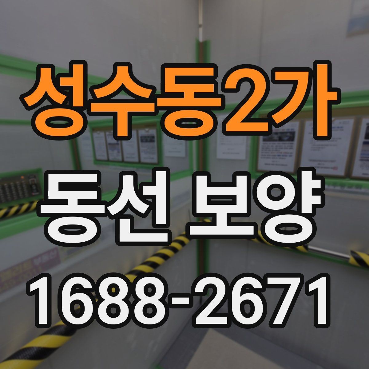 성수동2가 동선 보양 시공 전 확인할 점