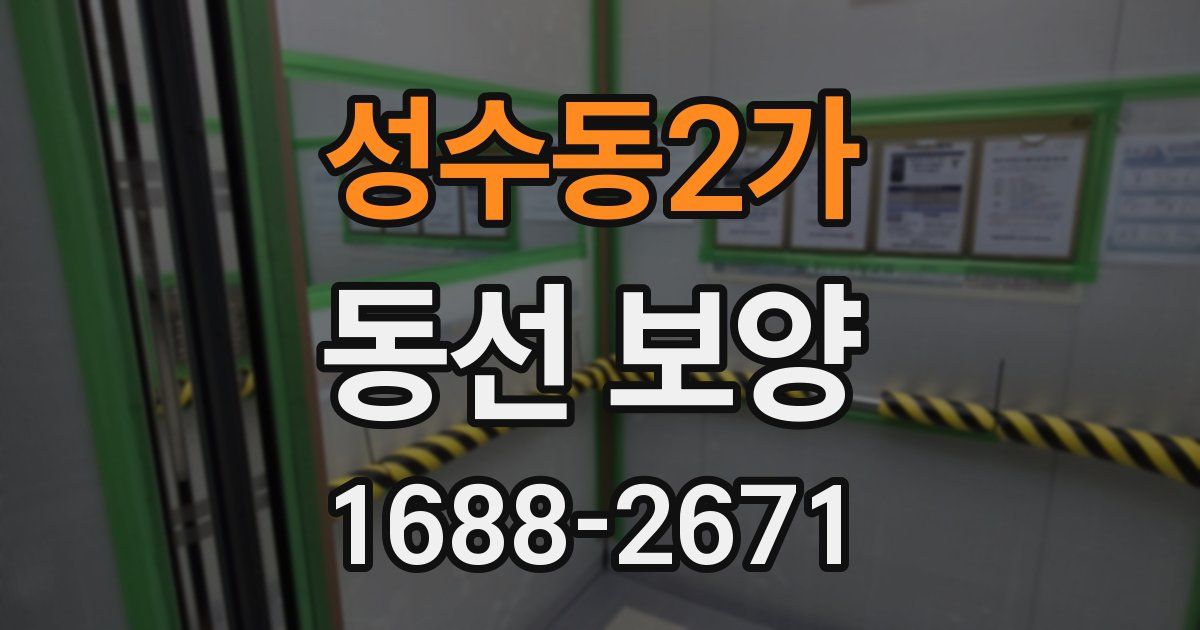 성수동2가 동선 보양