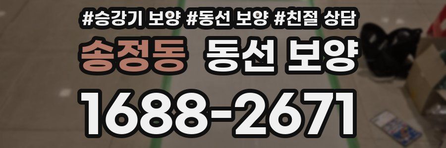 송정동 동선 보양