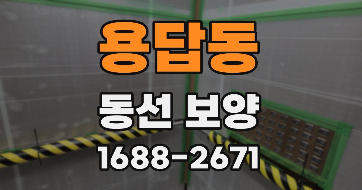 용답동 동선 보양