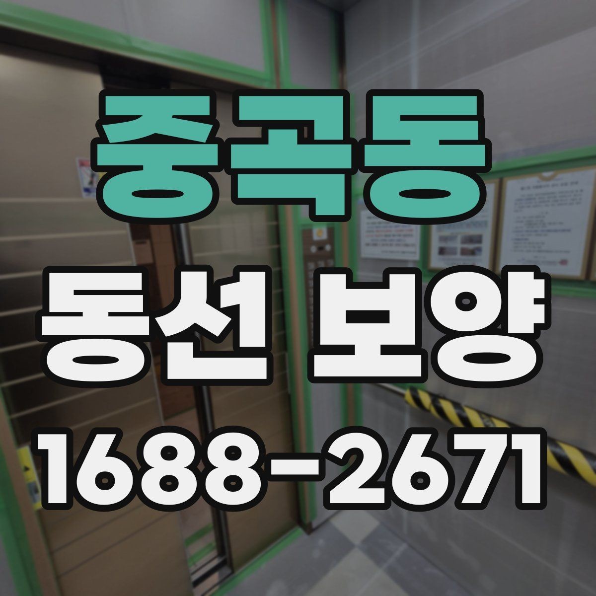 중곡동 동선 보양 비용은 무엇에 따라 달라질까