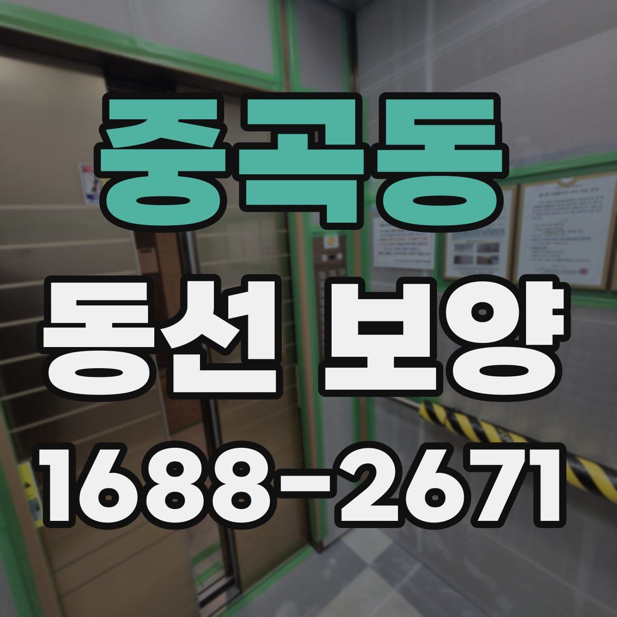 중곡동 동선 보양