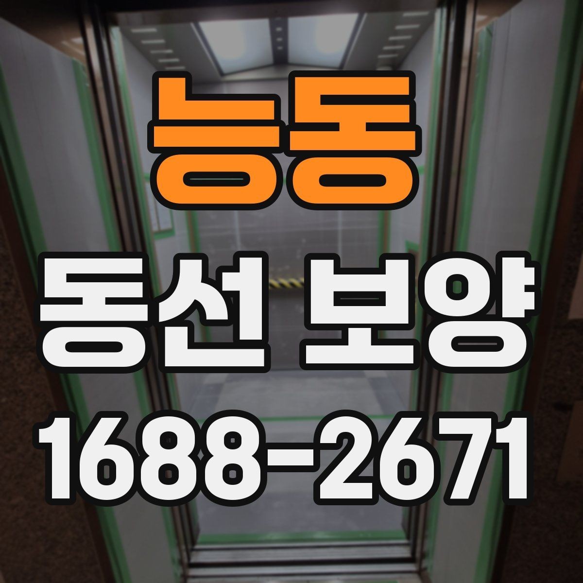 능동 동선 보양 선택 전 확인하면 좋은 기준